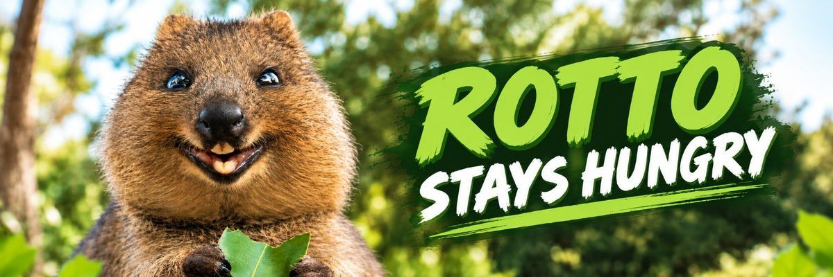 Rotto stays hungry: a smiling quokka holding a leaf